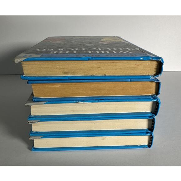 The Hardy Boy Book Lot Of 5 By Franklin W. Dixon (1,2,3,7,11) - Picture 6 of 6